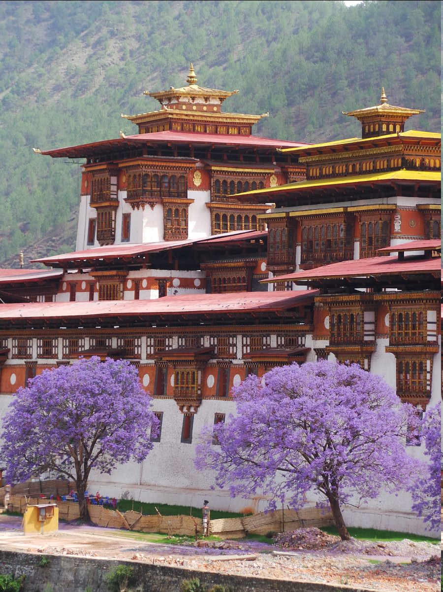 Punakha Dzong05